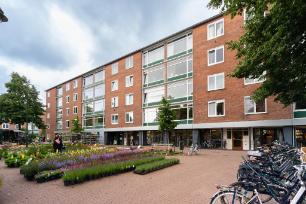 huis