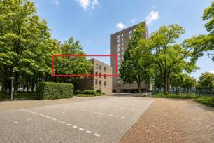 huis